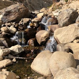 Meet your Posher, Rose